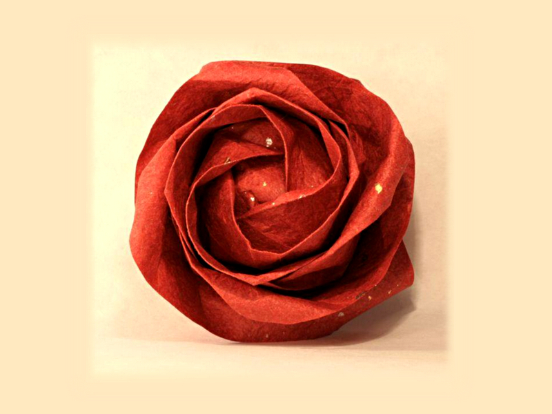 Kawasakiho růže