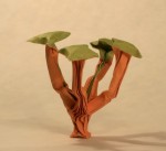 Voyer: baobab