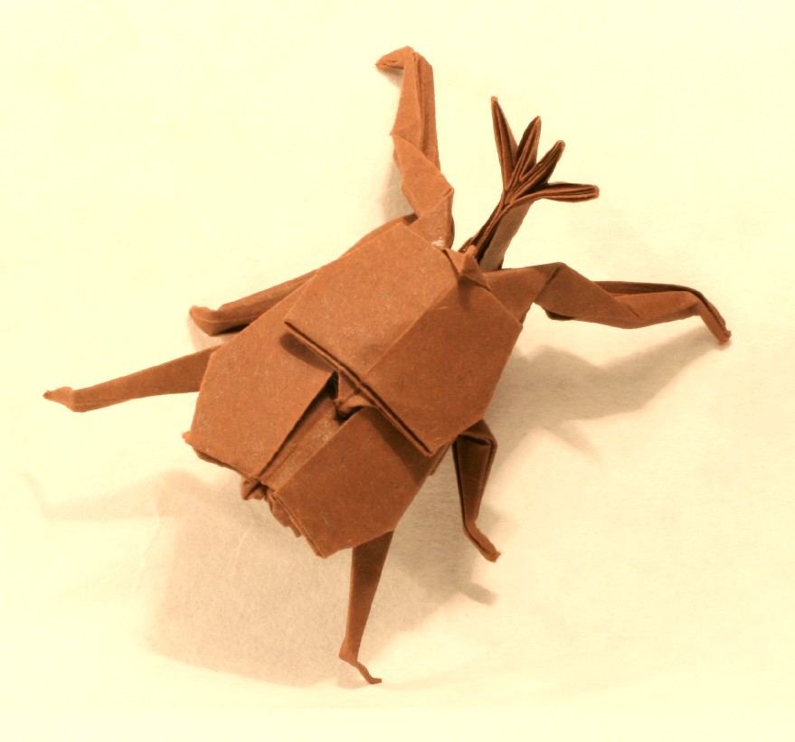 Nosorožík z Viva origami