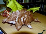 Fumiaki Kawahata: stegosaurus
