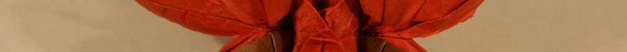 LaFosse: červená Cattleya