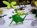 pohled na výstavu origamistů z Polska