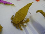 eurypterus remipes, design a skládání Petr Stuchlý