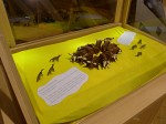 2011: expozice na výstavě v Malé Morávce