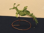 Petr Stuchlý: mořský koník Řasovník protáhlý  (Phyllopteryx taeniolatus)
