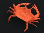 Petr Stuchlý: krab ??