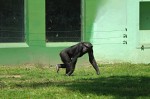 šimpanz učenlivý