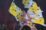 Floristická šou - florigami, model "motýl"