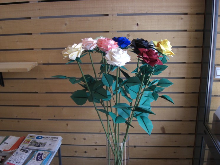 Naomiki Sato: růže
