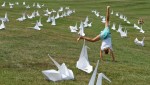 art_hill_cranes_04